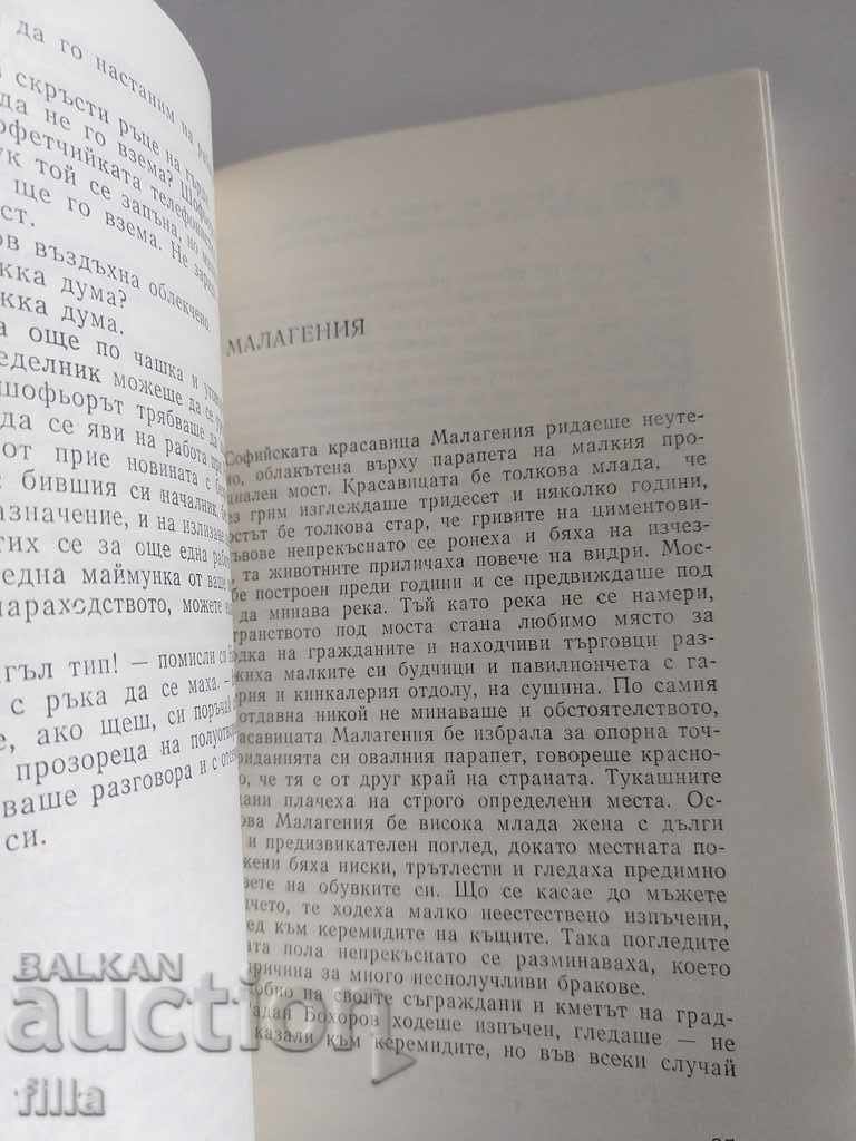 Weak elbows - Yordan Popov - 5 Weak elbows - Yordan Popov - 5