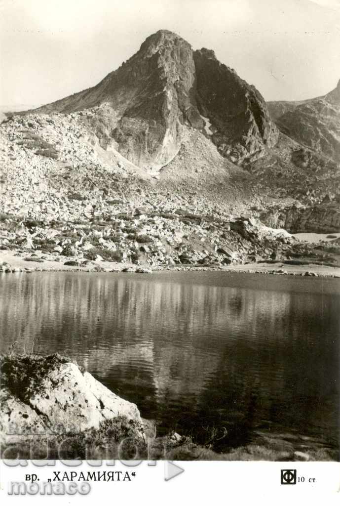 Old postcard - Rila, Haramiyata peak