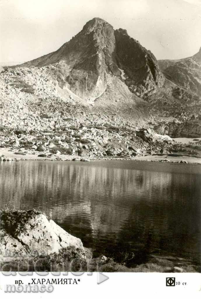 Old postcard - Rila, Haramiyat hill