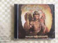 CD MUZICĂ-BUDDHA-1 ȘI AL 2-LEA DISC