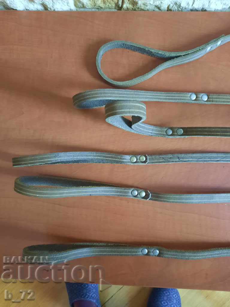 Παράδοση Λόγοι για κατοικίδιο Παράδοση Λόγοι για κατοικίδιο