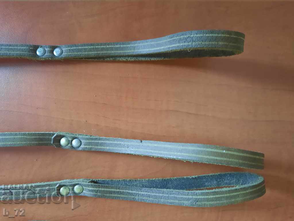 Λόγοι για κατοικίδιο - 5 Λόγοι για κατοικίδιο - 5