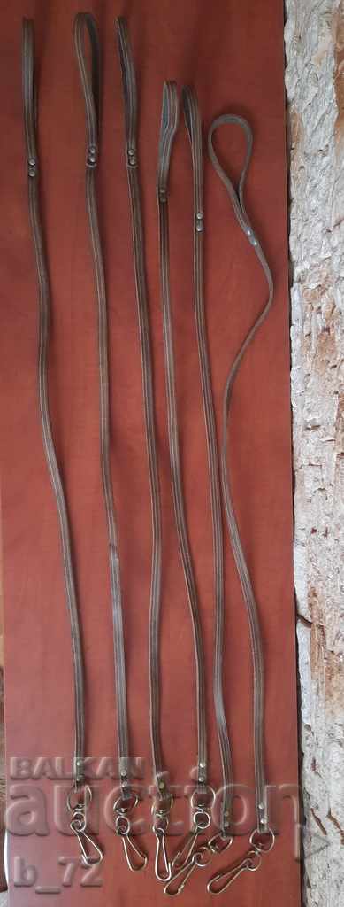 Λόγοι για κατοικίδιο - 6 Λόγοι για κατοικίδιο - 6