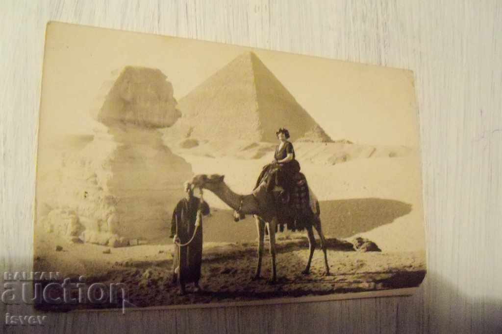 Old photo of Prof. Ana Todorova in front of the pyramids, 1922 with price 65.00 BGN | € 33.23