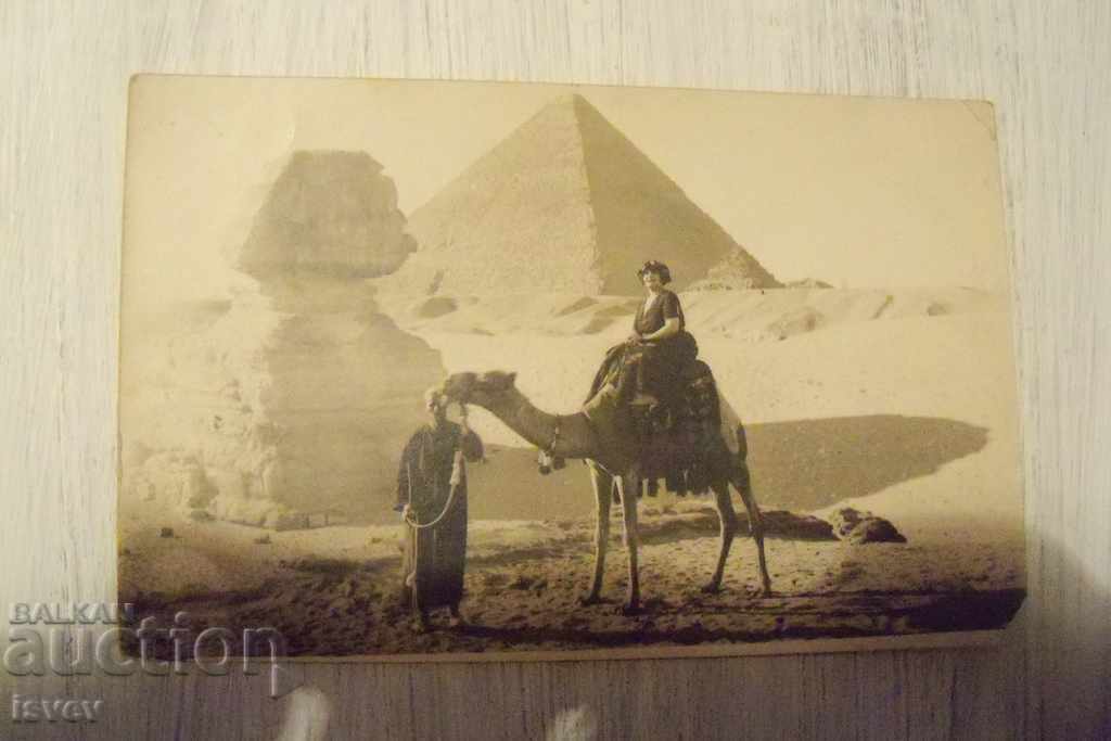 Auction  Old photo of Prof. Ana Todorova in front of the pyramids, 1922