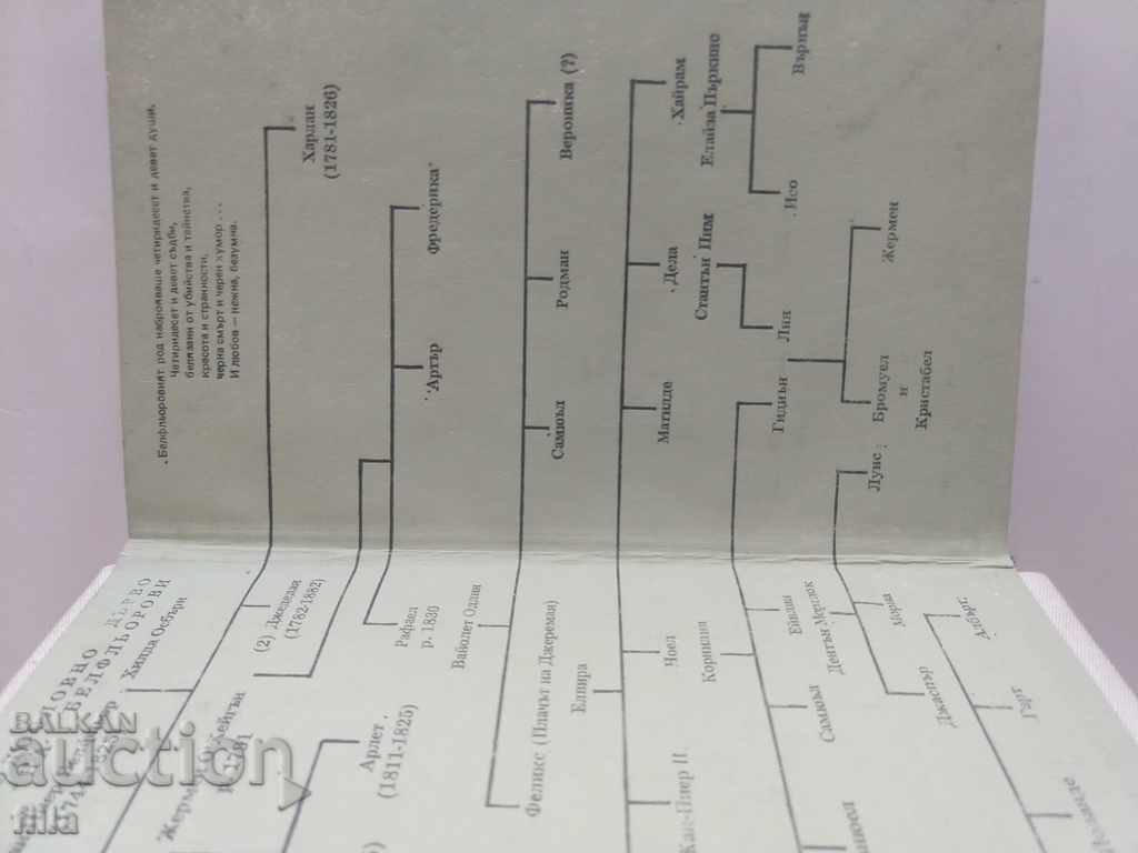 Belfeld - Joyce Carroll Oats - 5