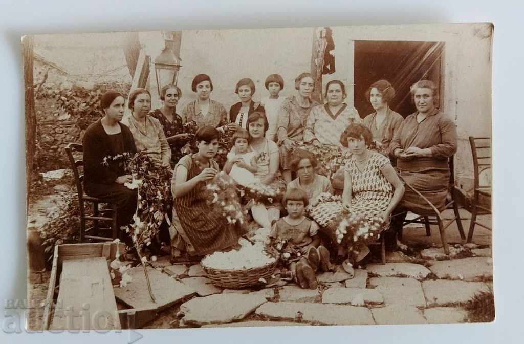 COTTON CLEANING KINGDOM BULGARIA OLD PHOTO PHOTO with price 19.00 BGN | € 9.71 COTTON CLEANING KINGDOM BULGARIA OLD PHOTO PHOTO with price 19.00 BGN | € 9.71