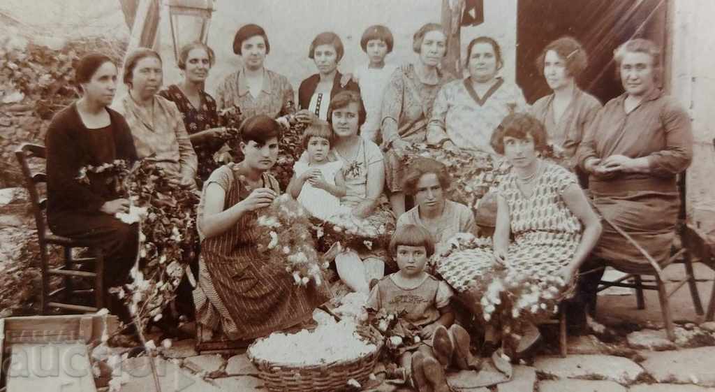 Auction COTTON CLEANING KINGDOM BULGARIA OLD PHOTO PHOTO Auction COTTON CLEANING KINGDOM BULGARIA OLD PHOTO PHOTO