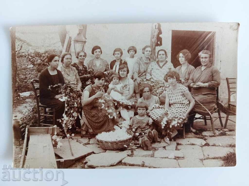 Delivery of COTTON CLEANING KINGDOM BULGARIA OLD PHOTO PHOTO Delivery of COTTON CLEANING KINGDOM BULGARIA OLD PHOTO PHOTO
