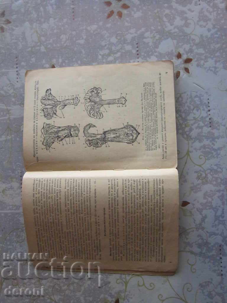 Аукцион Книга Ветеринарно Акушерство и изкуствено осеменяване Аукцион Книга Ветеринарно Акушерство и изкуствено осеменяване