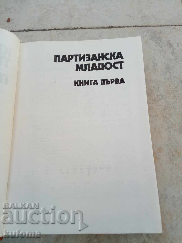 Auction Do you remember the Pirin Mountains? Auction Do you remember the Pirin Mountains?