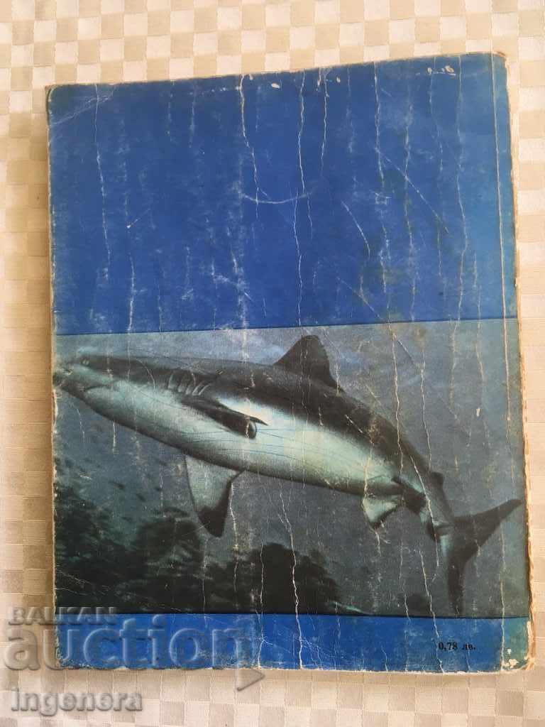 Auction BOOK-JACQUES WINE-IN A HUG WITH THE SEA-1977 Auction BOOK-JACQUES WINE-IN A HUG WITH THE SEA-1977