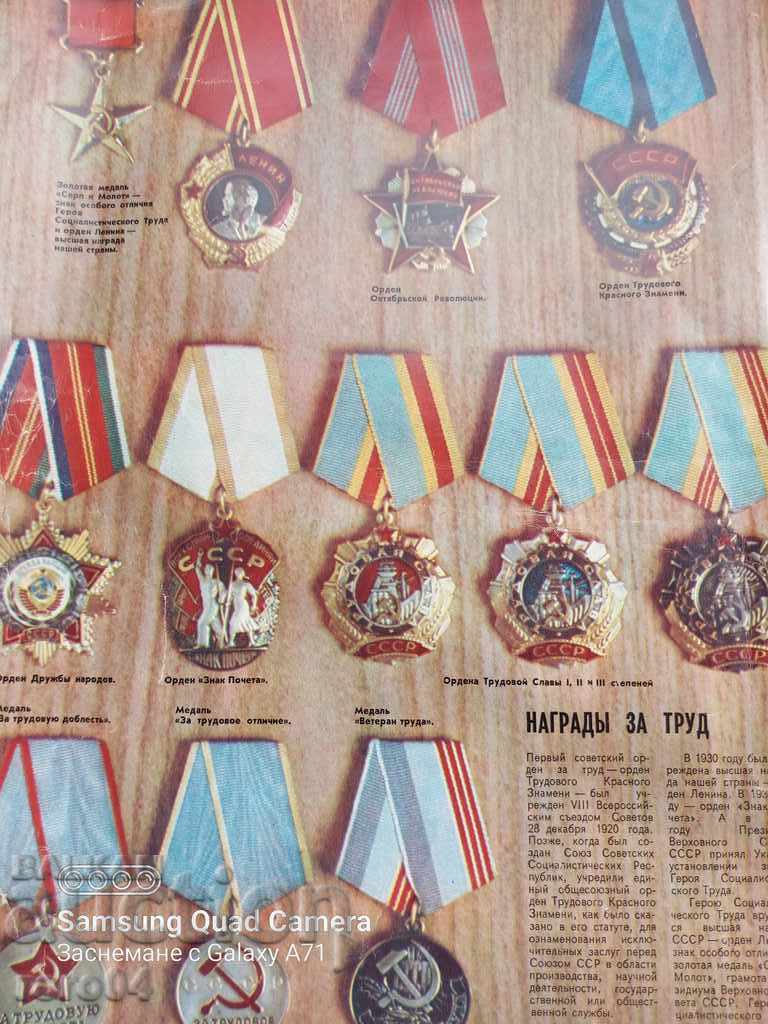MILIOANE DE ZILE - PREMII PENTRU MUNCĂ - 6