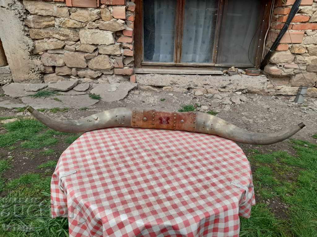Old horns, hanger with price 110.00 BGN | € 56.24 Old horns, hanger with price 110.00 BGN | € 56.24