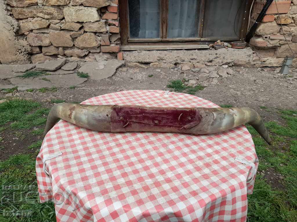 Auction Old horns, hanger Auction Old horns, hanger