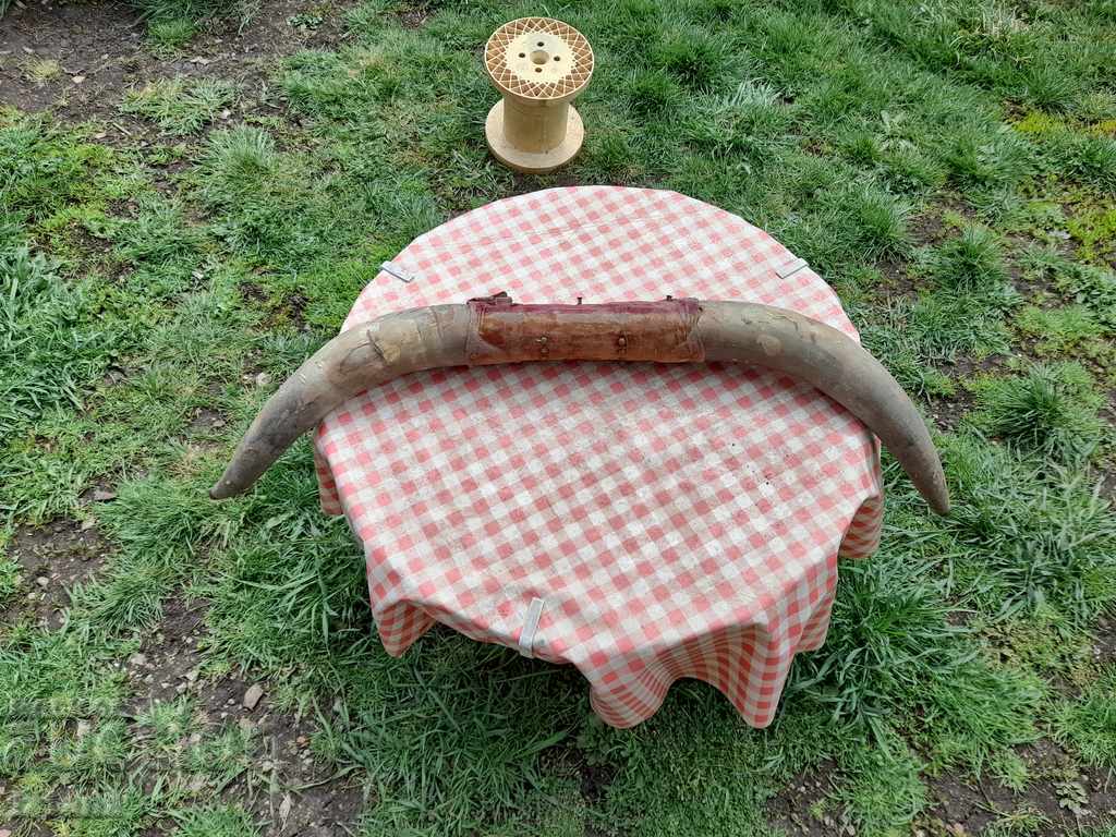 Delivery of Old horns, hanger Delivery of Old horns, hanger