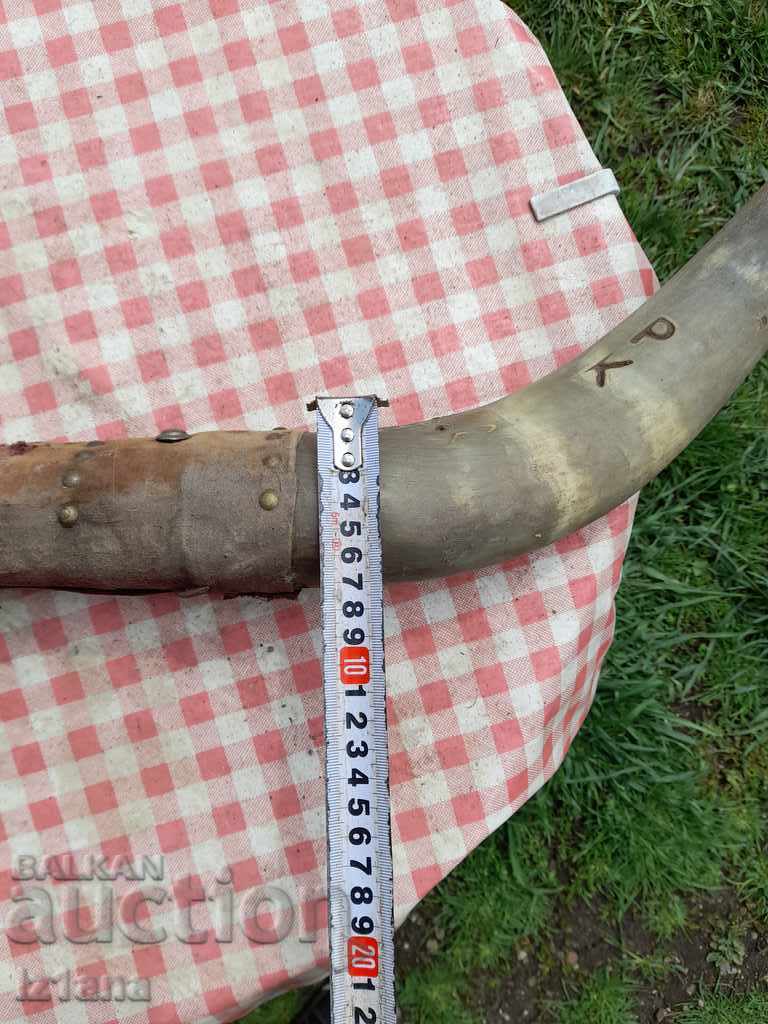 Old horns, hanger - 6 Old horns, hanger - 6