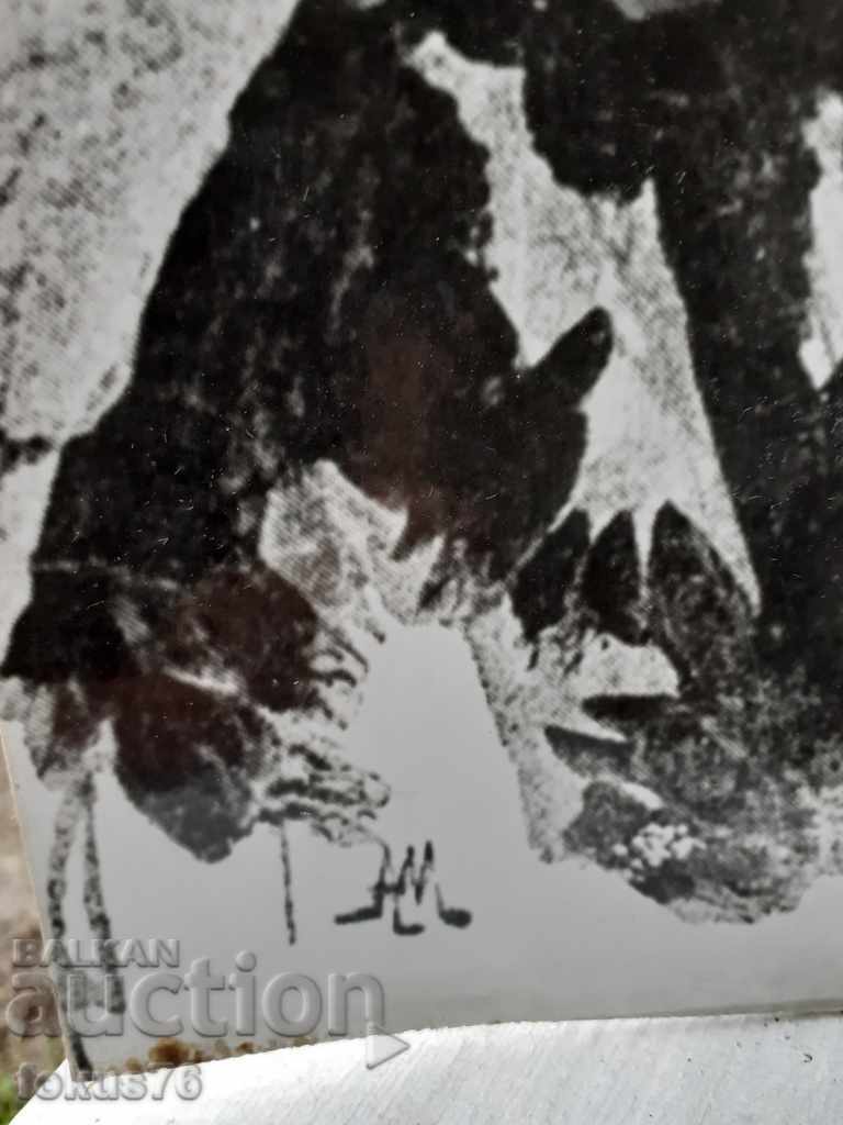 Photo thick cardboard Ivan Kralicha - Boycho Ognyanov with price 34.00 BGN | € 17.38 Photo thick cardboard Ivan Kralicha - Boycho Ognyanov with price 34.00 BGN | € 17.38