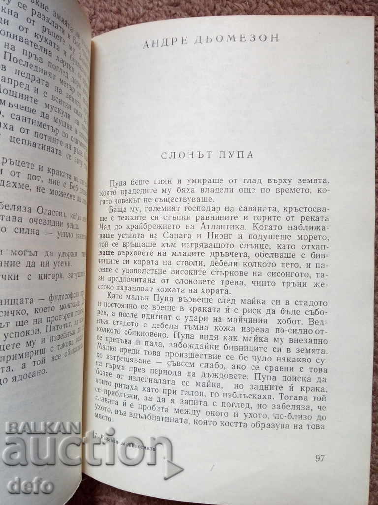 Аукцион Разкази за животни (сборник) - Колектив Аукцион Разкази за животни (сборник) - Колектив