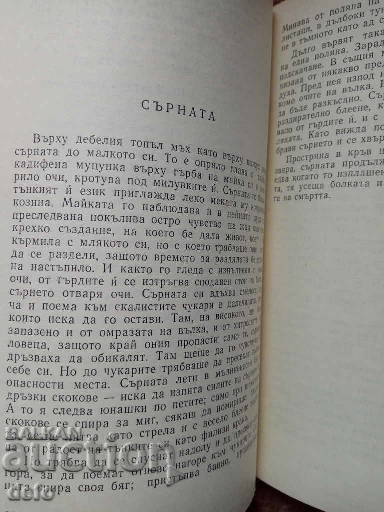 Доставка на Разкази за животни (сборник) - Колектив Доставка на Разкази за животни (сборник) - Колектив