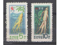 1961. North. Korea. Ginseng.