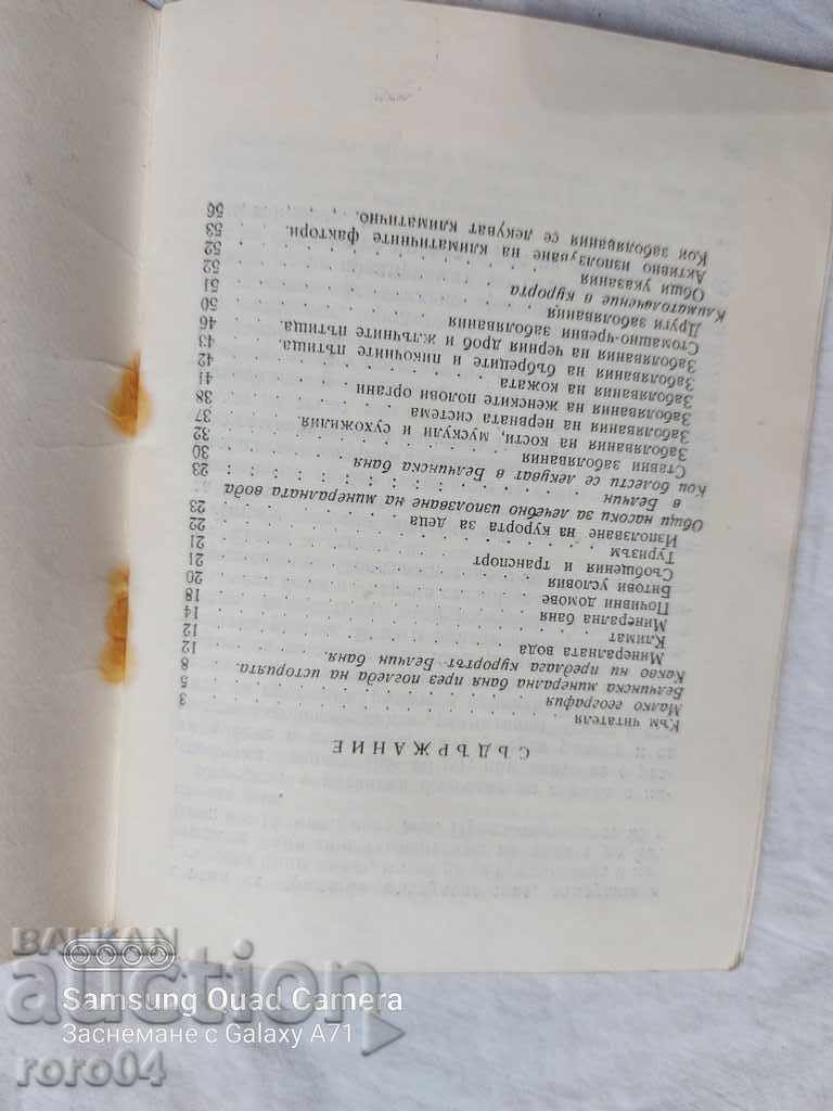 BELCHIN - D. KOCHANOV / I. BOROV - 7 BELCHIN - D. KOCHANOV / I. BOROV - 7