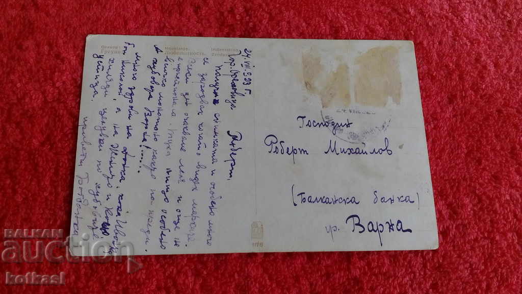 Old card girl Varna 1923 - 5 Old card girl Varna 1923 - 5