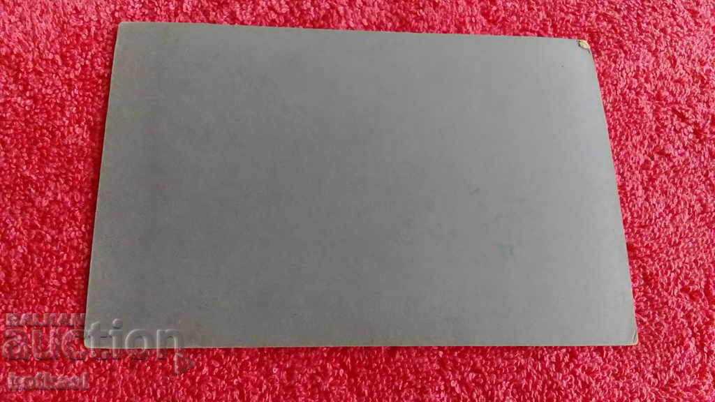 Стара царска снимка фотография жена картон аристократка - 6 Стара царска снимка фотография жена картон аристократка - 6