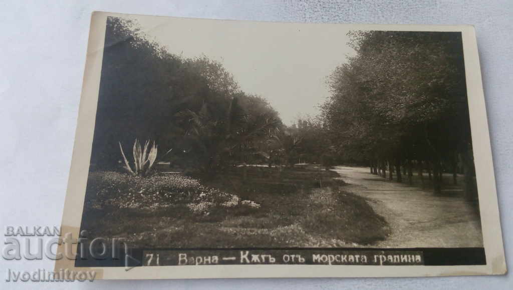Пощенска картичка Варна Кътъ от морската градина 1926