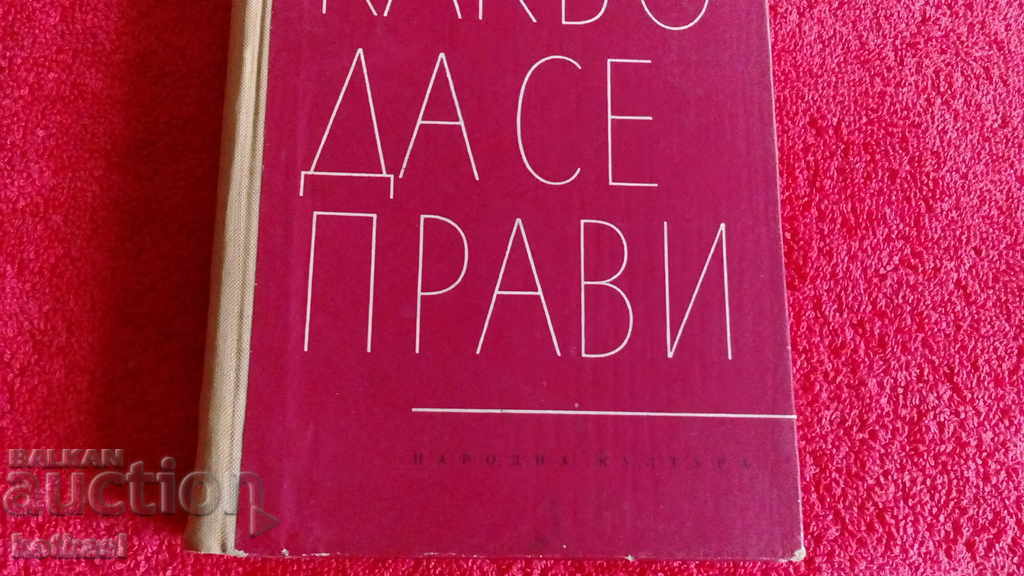 Auction What to do NG Chernyshevsky Auction What to do NG Chernyshevsky