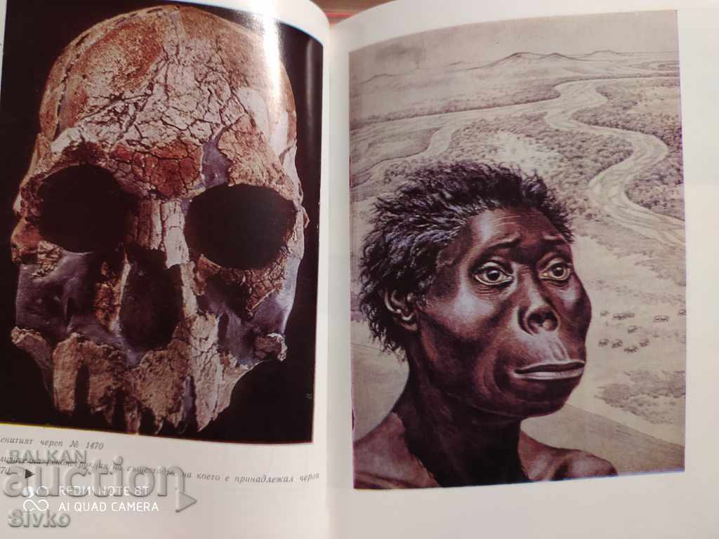 Ancient Civilizations, Stefan Nikitov, part 1, many photos - 6 Ancient Civilizations, Stefan Nikitov, part 1, many photos - 6