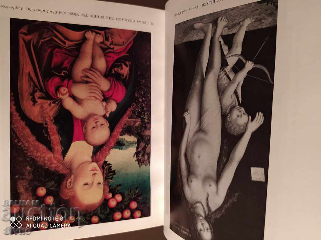 Hermitage, many photos - 7 Hermitage, many photos - 7