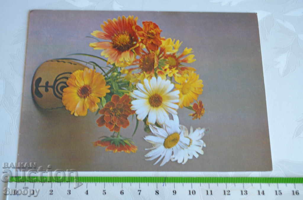 Postcard: Composition of flowers with price 0.30 BGN | € 0.15 Postcard: Composition of flowers with price 0.30 BGN | € 0.15