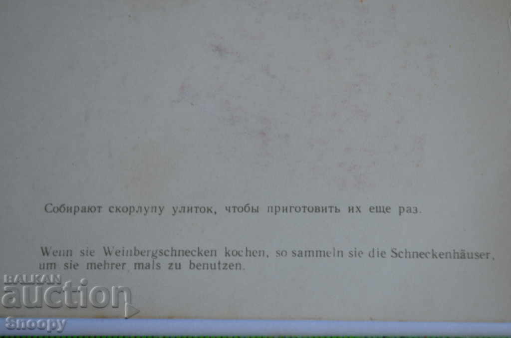 Delivery of Postcard: Illustration of a fairy tale Delivery of Postcard: Illustration of a fairy tale