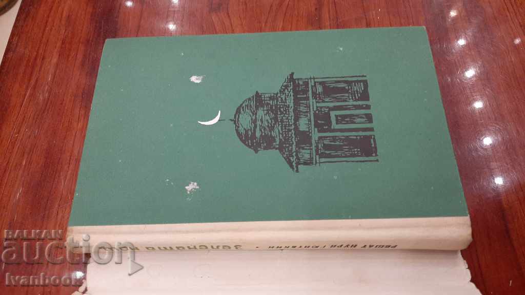 Auction They decide Nuri - Green Night Auction They decide Nuri - Green Night