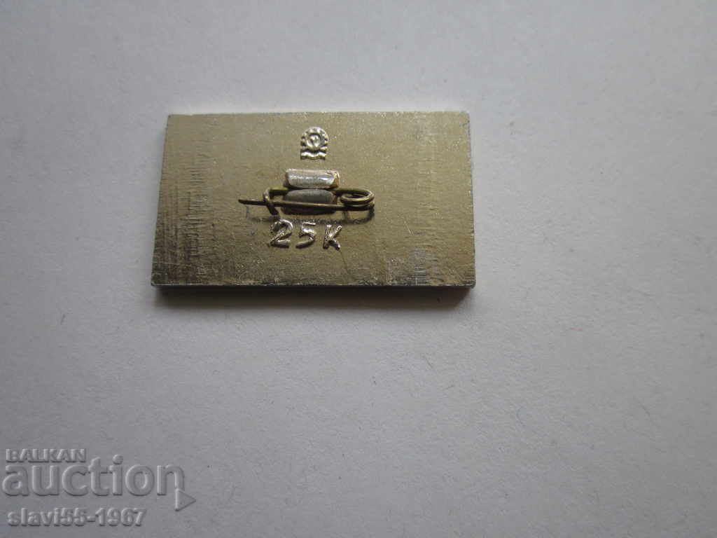 TARAS SHEVCHENKO BZC BADGE !!! with price 1.00 BGN | € 0.51 TARAS SHEVCHENKO BZC BADGE !!! with price 1.00 BGN | € 0.51