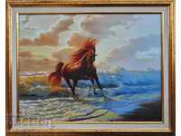 Άλογο στην παραλία, εικόνα