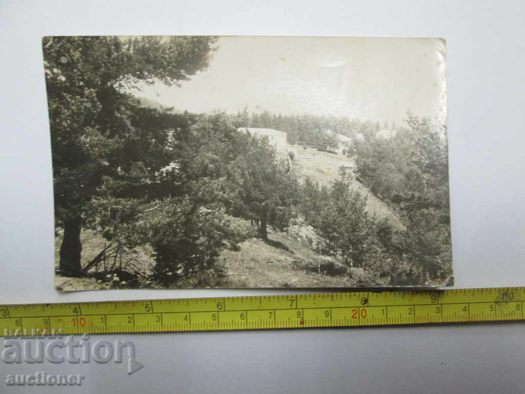 Auction OLD ROYAL PHOTO WHITE CHURCH-932 Auction OLD ROYAL PHOTO WHITE CHURCH-932