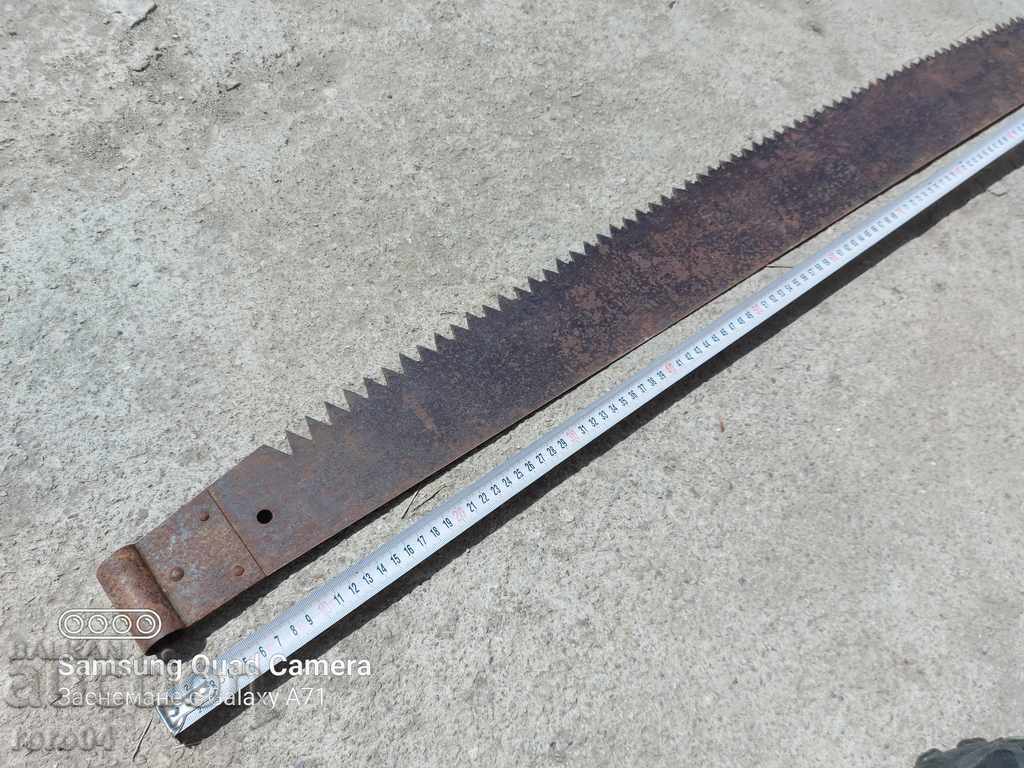 SAW - BULL - 5 SAW - BULL - 5