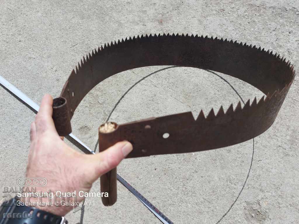 SAW - BULL - 6 SAW - BULL - 6