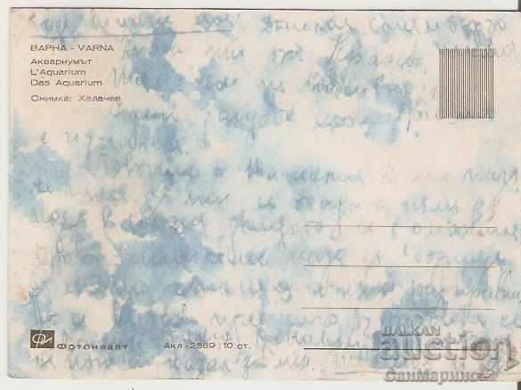 Card Bulgaria Varna The aquarium 2 * with price 0.80 BGN | € 0.41