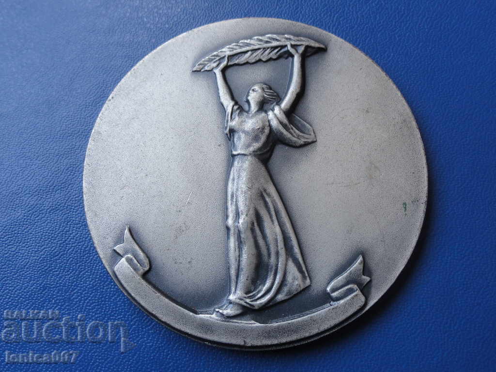 Plachetă Masivă 1970 - 5 Plachetă Masivă 1970 - 5