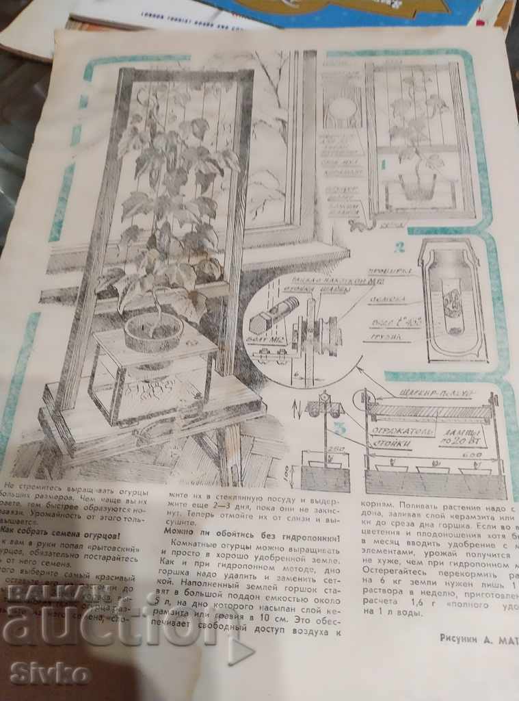 Magazine Young Youth scheme armored reconnaissance vehicles - 7 Magazine Young Youth scheme armored reconnaissance vehicles - 7