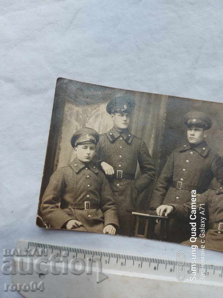 Auction TOLOVICA - BELGRADE Auction TOLOVICA - BELGRADE