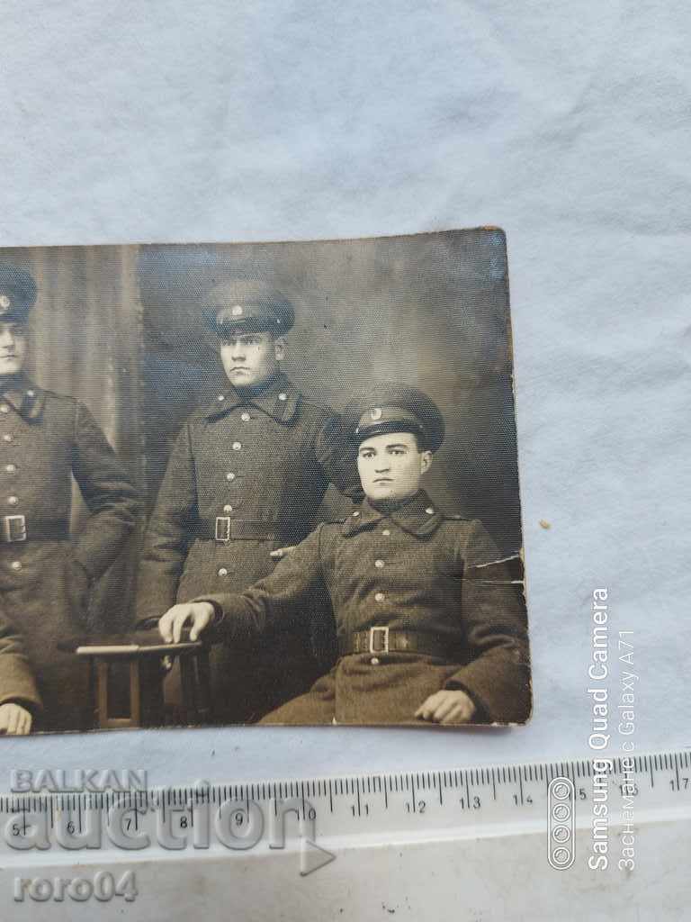 Delivery of TOLOVICA - BELGRADE Delivery of TOLOVICA - BELGRADE