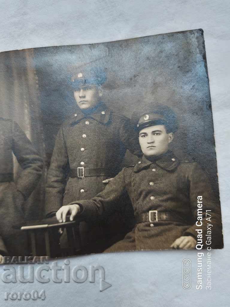 Licitație TOLOVICA - BELGRAD Licitație TOLOVICA - BELGRAD
