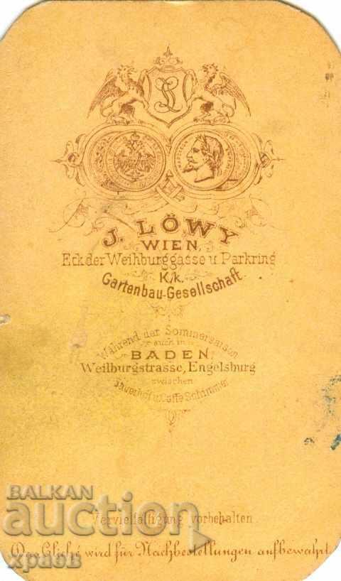 FOTO VECHE - CARTON - 1871 - VIENA - M1345 cu preț € 17.99 | 35.19 BGN