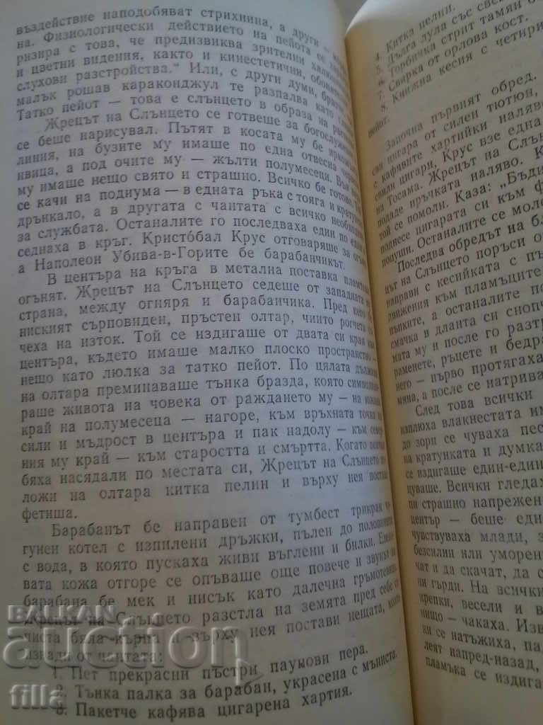 Dawn House - N. Scott Momadey - 7 Dawn House - N. Scott Momadey - 7