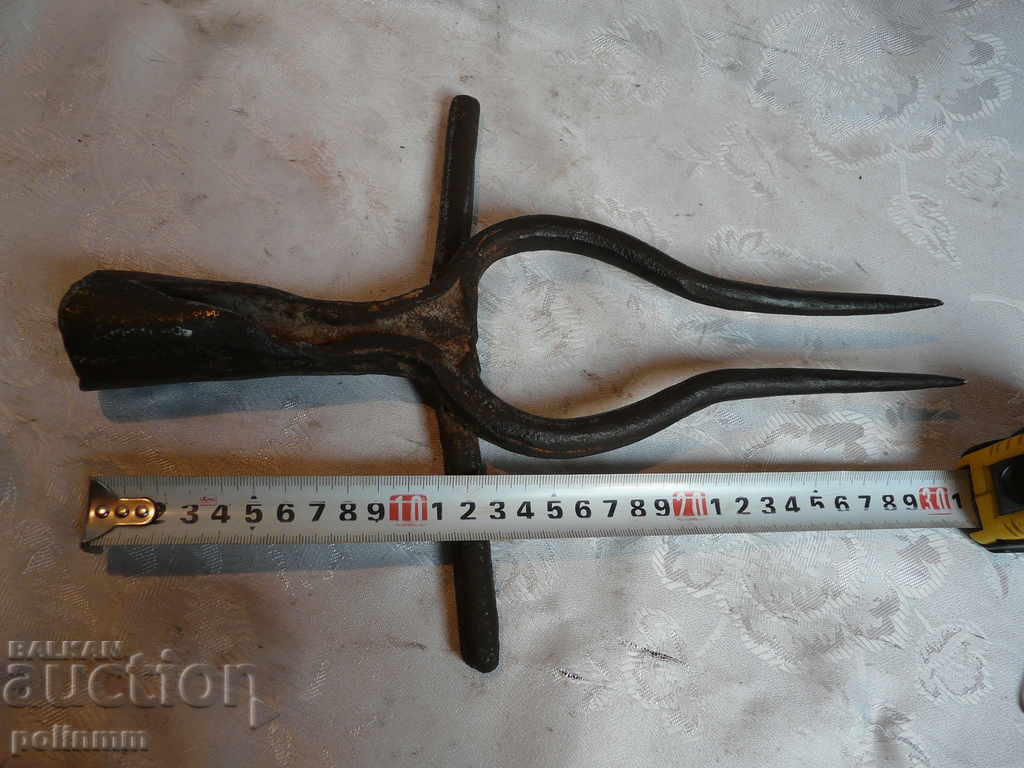 Massive old two-toothed with price 20.00 BGN | € 10.23 Massive old two-toothed with price 20.00 BGN | € 10.23