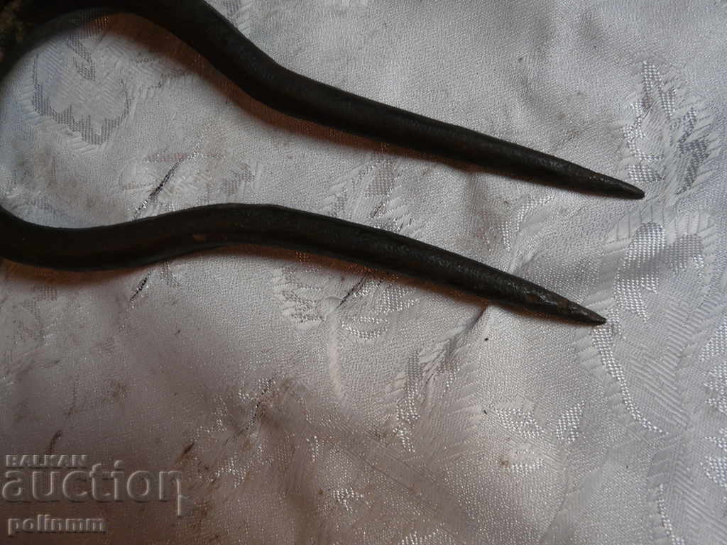 Delivery of Massive old two-toothed Delivery of Massive old two-toothed